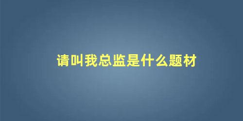 请叫我总监是什么题材