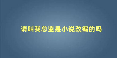 请叫我总监是小说改编的吗