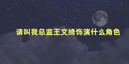 请叫我总监王文绮饰演什么角色