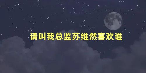 请叫我总监苏维然喜欢谁