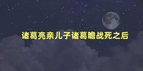 诸葛亮亲儿子诸葛瞻战死之后