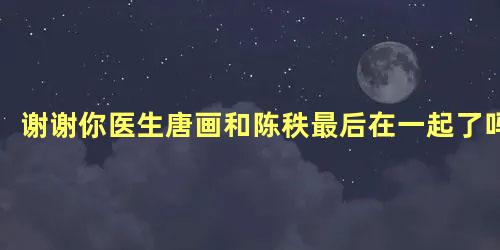 谢谢你医生唐画和陈秩最后在一起了吗