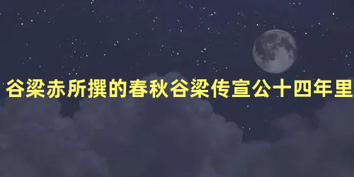 谷梁赤所撰的春秋谷梁传宣公十四年里记载了什么