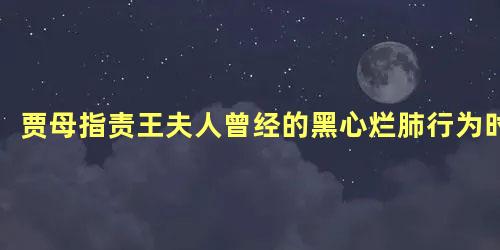 贾母指责王夫人曾经的黑心烂肺行为时