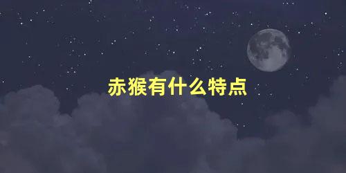 赤猴有什么特点