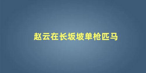 赵云在长坂坡单枪匹马