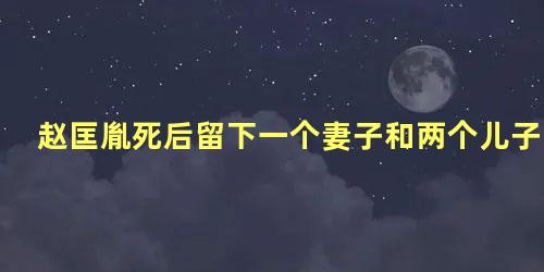 赵匡胤死后留下一个妻子和两个儿子