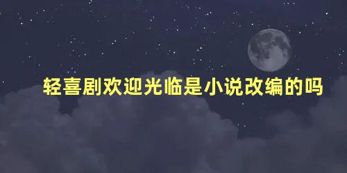 轻喜剧欢迎光临是小说改编的吗