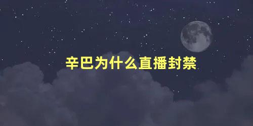 辛巴为什么直播封禁