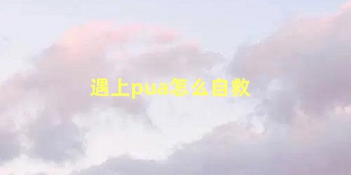 遇上pua怎么自救