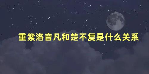 重紫洛音凡和楚不复是什么关系