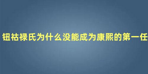 钮祜禄氏为什么没能成为康熙的第一任妻子呢