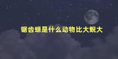 锯齿螈是什么动物比大鲵大