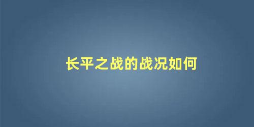 长平之战的战况如何