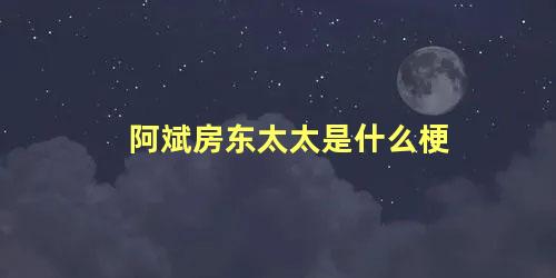 阿斌房东太太是什么梗