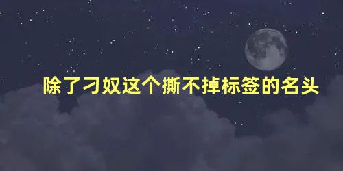 除了刁奴这个撕不掉标签的名头