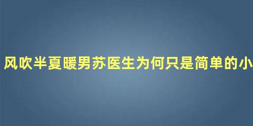 风吹半夏暖男苏医生为何只是简单的小插曲