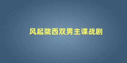 风起陇西双男主谍战剧