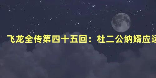 飞龙全传第四十五回：杜二公纳婿应运