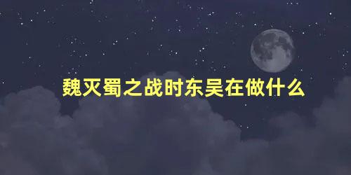 魏灭蜀之战时东吴在做什么