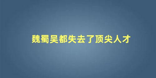 魏蜀吴都失去了顶尖人才