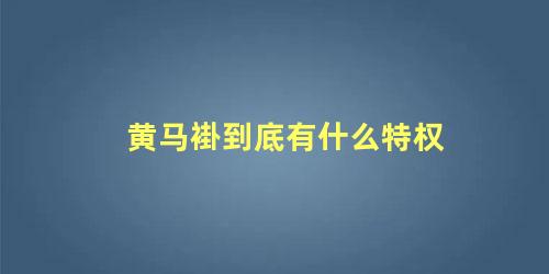 黄马褂到底有什么特权