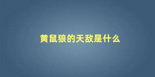 黄鼠狼的天敌是什么