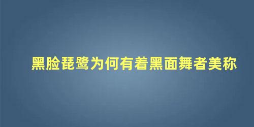 黑脸琵鹭为何有着黑面舞者美称