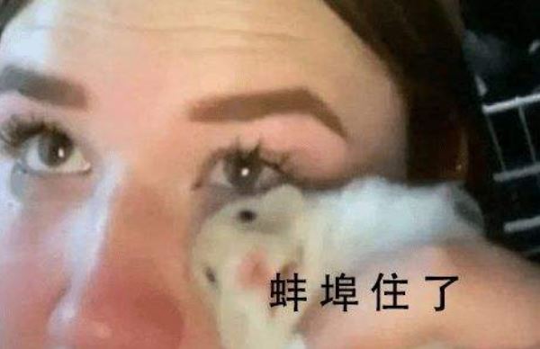 蚌埠住了什么梗出自哪里