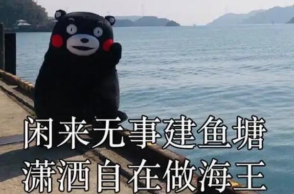 海王是什么意思梗